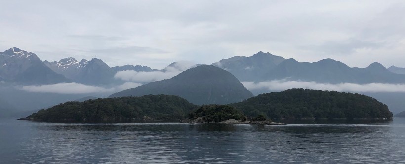 025B249A-4C3E-4E7A-831B-0F526F68E838