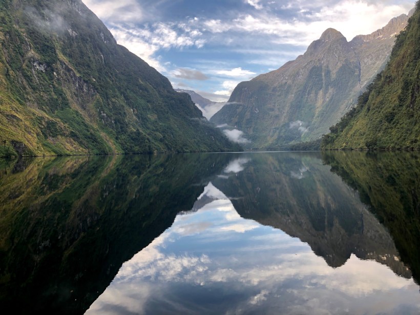 070C020B-B747-47F8-8A7C-DE46ED573229