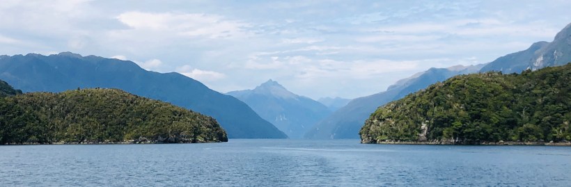 46DFC4A6-3106-4A54-B8DF-C8390C51A267