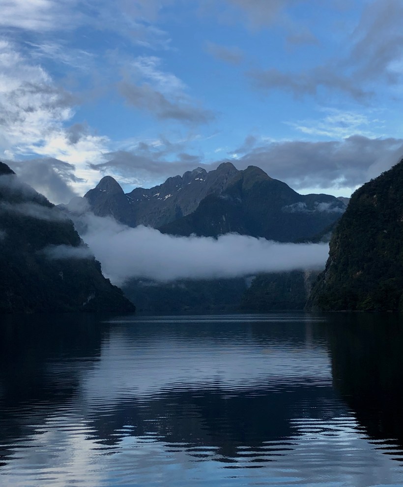 8DA0F201-069B-478C-BAE7-AAA9C3DBD793