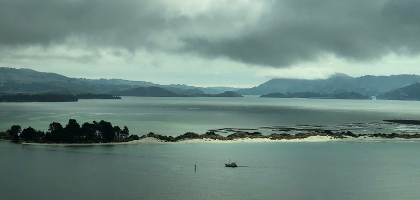 949EAB92-48A6-4FA9-8770-609B467F01EB