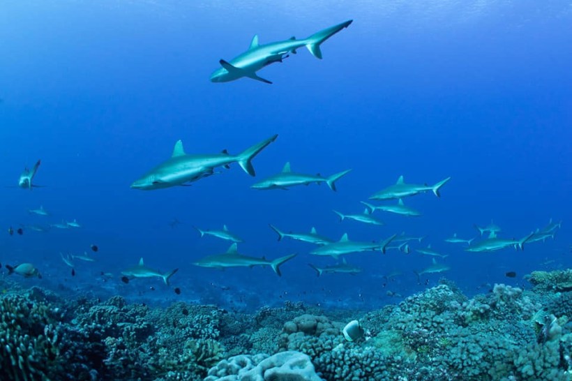 75880574-F946-45FC-9E52-EB0555D2156D