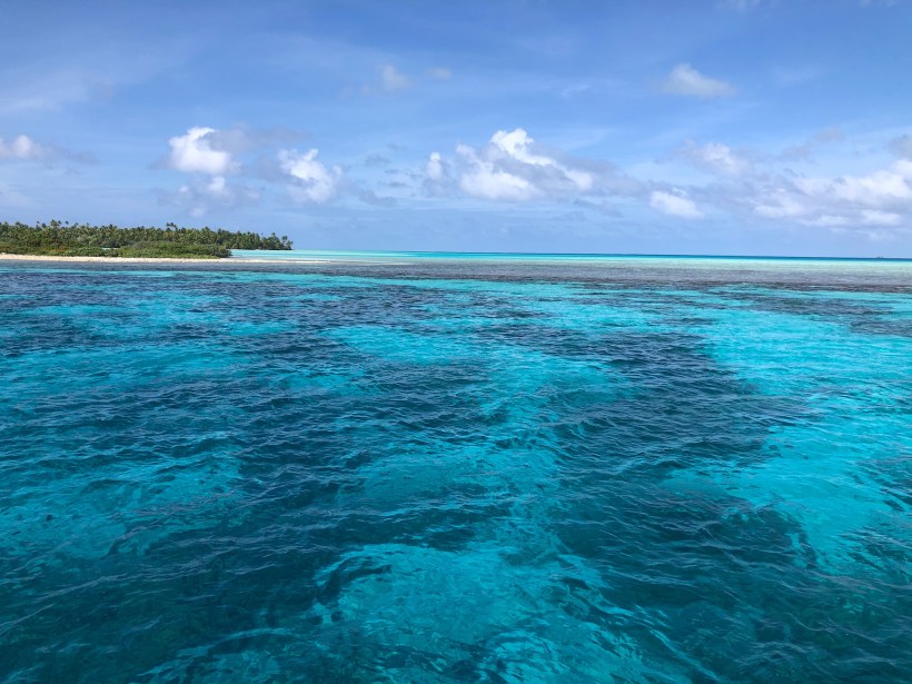 89D8E1A7-A0C3-46A1-9E0B-C6131EF6A27F