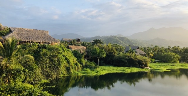 29CA96A8-872F-42E8-A656-0DCF248EBD0D