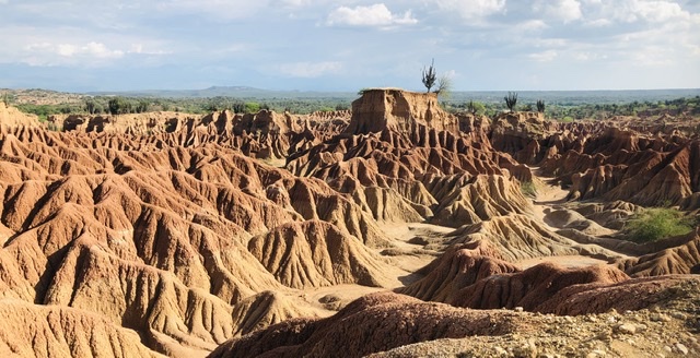 57964827-C5D5-428A-88E8-D9E27D4A76B1