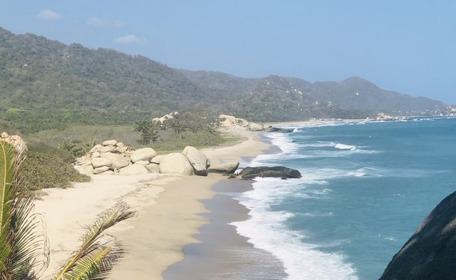 DCD1BA79-0CEE-4BC9-AD3B-55465702F3DC