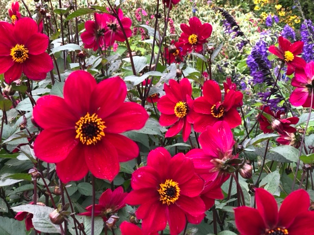 637C8F37-0362-42D4-9E34-EECC444231ED