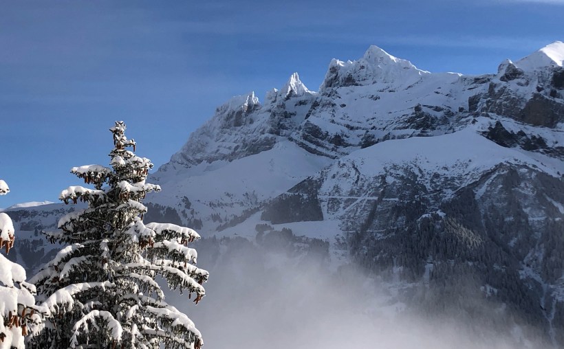 1F1E7DD4-D448-4C1A-8358-F945FBA60B9B